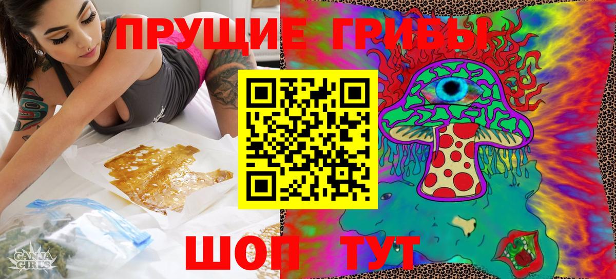 Псилоцибиновые грибы Psilocybe Аргун